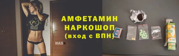 соль ск Алексин