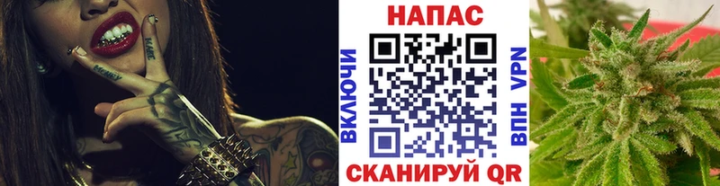дарк нет телеграм  Павловская  Канабис индика 